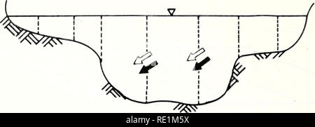 . Struttura ecologica e la funzione di grandi fiumi in Illinois "grande fiume" LTRO : 1985 Relazione sullo stato di avanzamento. Ecologia; Ecologia; a lungo termine di ricerca ecologica. Vista in sezione trasversale di ingresso y Y Y y Y T Y y Y Y y Y Y y. Si prega di notare che queste immagini vengono estratte dalla pagina sottoposta a scansione di immagini che possono essere state migliorate digitalmente per la leggibilità - Colorazione e aspetto di queste illustrazioni potrebbero non perfettamente assomigliano al lavoro originale. La formazione di scintille, Richard E; Illinois. Storia naturale divisione del sondaggio. Aquatic Sezione di Biologia; Nazionale grandi fiumi Centro di Ricerca e Formazione - NGRREC. L'Avana, Ill. : Rive Foto Stock