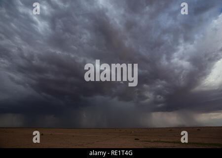 Columbus, Luna County, Nuovo Messico, STATI UNITI D'AMERICA Foto Stock