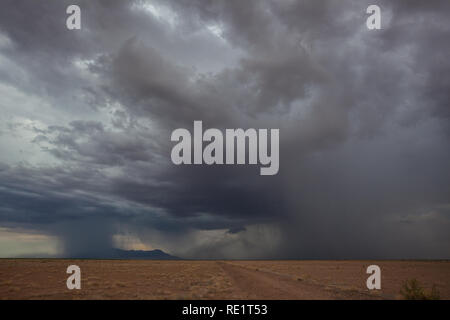 Columbus, Luna County, Nuovo Messico, STATI UNITI D'AMERICA Foto Stock