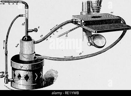 . Un libro di testo di batteriologia, compresa l'eziologia e la prevenzione delle malattie infettive e un breve resoconto di lieviti e muffe, haematazoa e psorosperms. Batteriologia. Strumentazione, materiali e reagenti. 61S tubi pieghevoli, per il contenimento di balsamo del Canada ; molto comoda per il trasporto e per uso generale. Girare-tabella per la copertura di chiusura a tenuta di preparazioni di vetro, con anelli di cemento. Scatole per preparazioni, prenota-modulo. I biglietti e le etichette di varie dimensioni. Stracci morbidi o vecchio pocket-fazzoletti da naso e da taschino, per la rimozione di olio di cedro dalla lente di immersione, il coperchio di pulizia-vetri, ecc. Cuoi e pelli scamosciati per la pulizia delle lenti Foto Stock