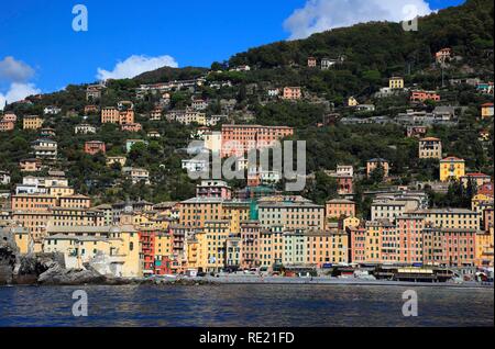 Camogli in provincia di Genova, sul Golfo Paradiso nella Riviera di Levante, fronte mare, Liguria, Italia, Europa Foto Stock