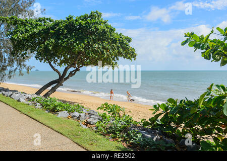 Giovane a piedi un cane sulla spiaggia, Trinity Beach, Cairns Northern Beaches, estremo Nord Queensland, QLD, FNQ, Australia Foto Stock