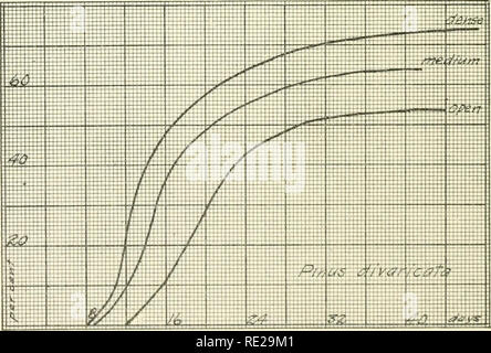 . Indagini ecologiche dopo la germinazione e la rapida crescita di alberi forestali. Alberi; la germinazione; crescita (piante). Fig. I. La germinazione curve di Pbnis rcsinosa.. Fig. 2. Le curve germuiation di Pinus divaricata.. Si prega di notare che queste immagini vengono estratte dalla pagina sottoposta a scansione di immagini che possono essere state migliorate digitalmente per la leggibilità - Colorazione e aspetto di queste illustrazioni potrebbero non perfettamente assomigliano al lavoro originale. Boerker, Richard Hans Douai, 1887-. Lincoln, Neb Foto Stock