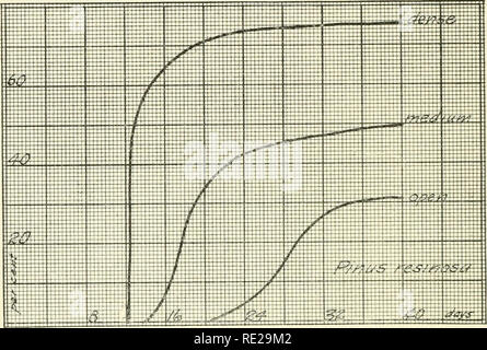 . Indagini ecologiche dopo la germinazione e la rapida crescita di alberi forestali. Alberi; la germinazione; crescita (piante). 38 Richard H. Bocrkcr l'effetto della luce sulla germinazione. Fig. I. La germinazione curve di Pbnis rcsinosa.. Si prega di notare che queste immagini vengono estratte dalla pagina sottoposta a scansione di immagini che possono essere state migliorate digitalmente per la leggibilità - Colorazione e aspetto di queste illustrazioni potrebbero non perfettamente assomigliano al lavoro originale. Boerker, Richard Hans Douai, 1887-. Lincoln, Neb Foto Stock