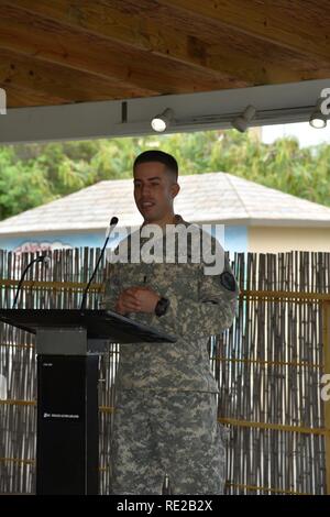 1Lt. Eduardo Rivera affrontare i suoi soldati, amici e familiari che hanno partecipato ad una cerimonia di congedo per la riserva di esercito di soldati dal 215th Polizia Militare società presso il giardino giapponese in Ponce, Puerto Rico il 7 novembre. Foto Stock