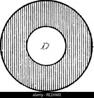 . Il microscopio; un'introduzione ai metodi microscopici e istologia. Microscopi. Â Exc Fig. 135. Vista della lente posteriore OE L'obiettivo, che mostra la con- densa fuori del centro e centrato. Exc macchia di luce {D) è su un lato del centro, che mostra che l'asse ottico del condensatore non è in linea con quello del microscopio. C macchia di luce {D) è al centro, che mostra che l'asse ottico del con- più densa e microscopio sono in linea. Un piano utilizzato da molti lavoratori qualificati viene alla luce l'oggetto e il campo intorno bene e quindi di posizionare un diaframma metallico della dimensione adeguata Foto Stock