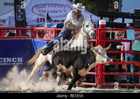 Homestead, Florida, Stati Uniti d'America. Xix gen, 2019. Wade Cooper (50) compete nel guidare il wrestling evento durante il settantesimo annuale campionato Homestead Rodeo a Doc DeMilly Rodeo Arena al campo di Harris a Homestead, Florida. Mario Houben/CSM/Alamy Live News Foto Stock