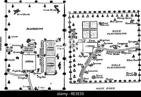 . Scuola e casa giardinaggio; un libro di testo per i giovani, con piani, suggerimenti e sussidi per gli insegnanti, dirigenti di club e gli organizzatori. Il giardinaggio; School Gardens. Pianificazione del giardino 31 spesso desiderabile. Un confine di arbusti può essere piantato in masse naturale con un buon effetto. Un giardino ben tenuto è una visione gradevole, ma una bassa copertura di qualche genere può essere utilizzato per contrassegnare la linea. Privet hedge, una linea di rose e giapponese crespino sono tutti segni adatti per il giardino linea; questi possono essere utilizzati con o senza un recinto. Come la bellezza è di proprietà pubblica e basse siepi sono spesso migliori. L. Strada principale roat principale Foto Stock