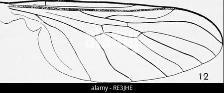 . Vola in relazione alla malattia: bloodsucking mosche. Vola; mosche come vettori della malattia; Diptera. . Si prega di notare che queste immagini vengono estratte dalla pagina sottoposta a scansione di immagini che possono essere state migliorate digitalmente per la leggibilità - Colorazione e aspetto di queste illustrazioni potrebbero non perfettamente assomigliano al lavoro originale. Hindle, Edward, 1886-. Cambridge University Press Foto Stock