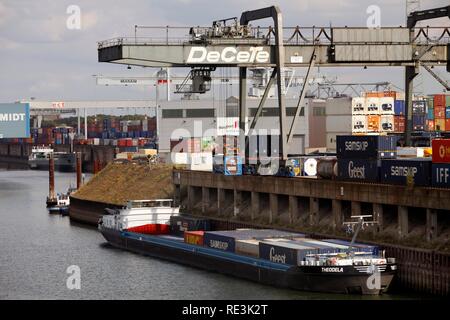 Terminale DeCeTe, contenitore di caricamento al sud del molo del porto interno Duisburg-Ruhrort, Duisburg, Renania settentrionale-Vestfalia Foto Stock