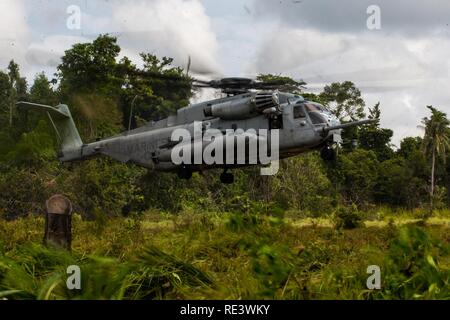 Provincia di Sabah, Malesia (11 novembre 2016) - Un CH-53E Super Stallion terre al designato zona di atterraggio durante l'esercizio Tiger Strike 2016 nella provincia di Sabah, Malesia, nov. 11. Tiger colpire 16 è una opportunità per la Malaysia e gli Stati Uniti le forze armate per rafforzare strutture militari partnership e aumenta la capacità di tutti i partecipanti al progetto, di comunicare e di eseguire le operazioni anfibie. Lo Stallone e il suo equipaggio sono con Marine mezzo squadrone Tiltrotor 163 (rinforzato). Foto Stock