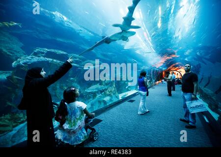 Dubai Aquarium e lo Zoo di subacquea presso il centro commerciale di Dubai, Dubai, Emirati Arabi Uniti, Medio Oriente Foto Stock