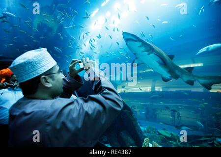 I visitatori di scattare foto in Dubai Aquarium e lo Zoo di subacquea presso il centro commerciale di Dubai, Dubai, Emirati Arabi Uniti, Medio Oriente Foto Stock