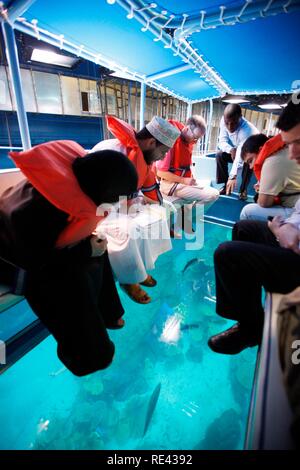 Visitatori in Dubai Aquarium e lo Zoo di subacquea presso il centro commerciale di Dubai, Dubai, Emirati Arabi Uniti, Medio Oriente Foto Stock