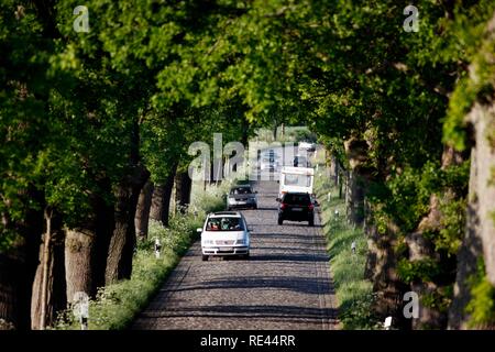 Strada di campagna, avenue, parte della Deutsche Alleenstrasse tedesco Avenue Road, tra Granitz e Putbus, Ruegen isola Foto Stock