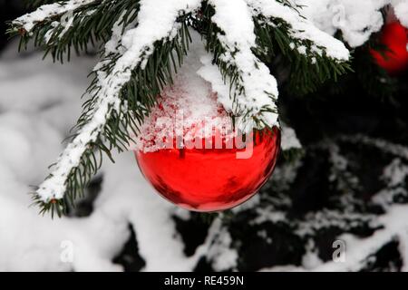 Coperte di neve albero di Natale con palline rosse Foto Stock
