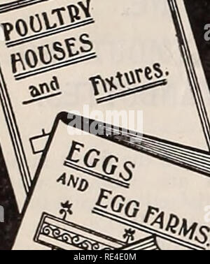 . Il poultryman orientale. Il pollame periodici; frutto di periodici. . Si prega di notare che queste immagini vengono estratte dalla pagina sottoposta a scansione di immagini che possono essere state migliorate digitalmente per la leggibilità - Colorazione e aspetto di queste illustrazioni potrebbero non perfettamente assomigliano al lavoro originale. South Freeport, Me. : Geo. P. Goffin; Freeport, Me. : Geo. P. Goffin; Kent's Hill, Me. : E. E. Peacock Foto Stock