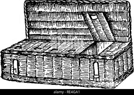 . La piuma di piccione pratico libro. I piccioni. Cestello per la spedizione o il trasporto di piccioni. Si prega di notare che queste immagini vengono estratte dalla pagina sottoposta a scansione di immagini che possono essere state migliorate digitalmente per la leggibilità - Colorazione e aspetto di queste illustrazioni potrebbero non perfettamente assomigliano al lavoro originale. Lungo, J. C. Washington, D. C. , Geo. E. Howard Foto Stock