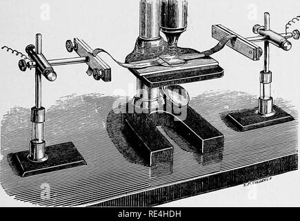 . Un libro di testo di batteriologia, compresa l'eziologia e la prevenzione delle malattie infettive e un breve resoconto di lieviti e muffe, haematazoa e psorosperms. Batteriologia. Fig. 57.-Cella umida atto fok Thansmission di elettricità. ApiMcation di Electricitij.-Per studiare l'effetto dell'elettricità si può preparare una goccia di coltura in cella umida. Il coperchio in vetro per essere utilizzato è fornito con due strisce di carta stagnola che sono. Via. 58.-Apparaths akkanged per la trasmissione di elettricità. isolato dal bi'asino del microscopio, e disposto in modo che una corrente elettrica può essere pa.ssed attraverso Foto Stock