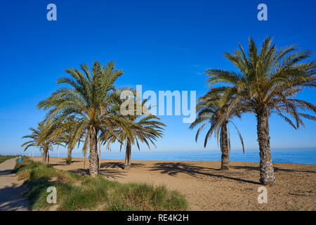 Denia spiaggia di Las Marinas in Alicante palme in Costa Blanca della Spagna Foto Stock