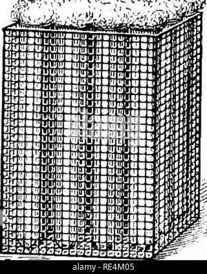 . Batteriologia farmaceutica, con speciale riferimento alla disinfezione e sterilizzazione. Batteriologia. TT u ?" ? T )I^^ cestelli per holdmg provette. Forma cilindrica e di forma quadrata. Ciascun cestello detiene una cinquantina di provette. Il filo viene galvanizzata per prevenire la formazione di ruggine. Il round cestelli in filo metallico deve essere utilizzato in questa soluzione per qualche tempo, diverse ore o più, e risciacquo, lavaggio, svuotamento, e strofinare accuratamente dopo. L' unico scopo da raggiungere è la pulizia nel vero senso della parola. La vetreria deve essere pulito batteriologicamente e chimicamente; che è, deve essere libero da mi- cro Foto Stock