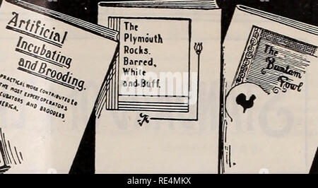. Il poultryman orientale. Il pollame periodici; frutto di periodici. . Si prega di notare che queste immagini vengono estratte dalla pagina sottoposta a scansione di immagini che possono essere state migliorate digitalmente per la leggibilità - Colorazione e aspetto di queste illustrazioni potrebbero non perfettamente assomigliano al lavoro originale. South Freeport, Me. : Geo. P. Goffin; Freeport, Me. : Geo. P. Goffin; Kent's Hill, Me. : E. E. Peacock Foto Stock