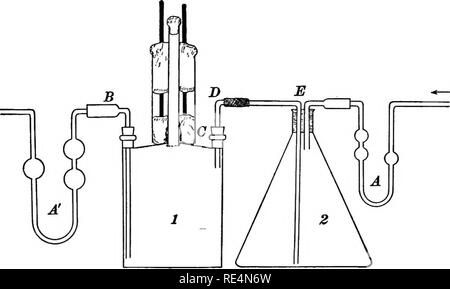 . Un manuale di batteriologia per agricoltura e della scienza in generale gli studenti. Batteriologia. Appendice A 135 U tubi, A e A', riempito con acido solforico, vengono usati per purificare l'aria. £ è un lungo e duro-tubo di vetro ingrandita in corrispondenza di una estremità per culla sterile- ton e tappo. A e B sono utilizzate per l'aerazione del terreno (se in terreni di coltura liquidi sono utilizzati, questi può essere omesso). Tubi D, E, e a servire per irrigazione; l'aria sterile viene fatta passare attraverso un, e e quindi porta l'acqua nel pallone 2 nel recipiente di coltura 1. La grande apertura, C nel pallone 1 porta un cilindro costruito come mostrato dalla Fig. 45. Un wi Foto Stock