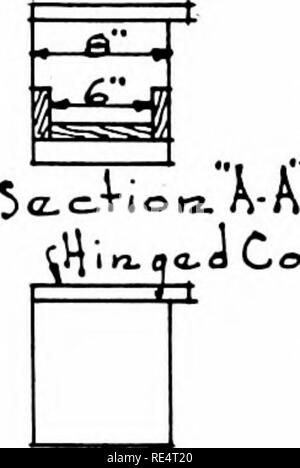 . Piccione redditizio allevamento; un manuale pratico che spiega come allevare piccioni con successo,--se come un hobby o come un esclusivo business. Piccioni. l^A .Wi^V. 3-a" Covep PL-edTbough alimentati&GT;. Si prega di notare che queste immagini vengono estratte dalla pagina sottoposta a scansione di immagini che possono essere state migliorate digitalmente per la leggibilità - Colorazione e aspetto di queste illustrazioni potrebbero non perfettamente assomigliano al lavoro originale. Pericolo, F. Arthur. Warrenton, Mo. , American Pigeon Ufficiale Azienda Foto Stock