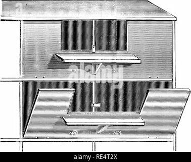 . Fancy piccioni: completo contenente le istruzioni per la loro riproduzione e gestione, con le descrizioni di ogni varietà nota, e tutte le altre informazioni di interesse o uso di Pigeon fanciers. I piccioni. Tlie Piccionaia, Loft e voliera. 29 B è una camera di circa 9ft. da 12ft. per piccoli piccioni, come nottolini, turbits, gufi e giacobini ed è equipaggiato con quattro livelli di nidificazione- luoghi, costruito sul principio illustrato nel maiale. 6. Bach scatola di nido (Fig. 6) è circa 14in.lunga da 12a. profondo e llin. alta. Una porta incernierata inferiormente, copre due nidi che sufficiente per una coppia di uccelli, e ciascun nido ho Foto Stock