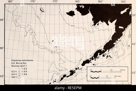 . La parte orientale del Mare di Bering ripiano : oceanografia e risorse / a cura di Donald W. cofano e John A. Calder. Oceanografia del mare di Bering.. dominato epibenthic sistema nella parte sud-orientale del Mare di Bering (Alaska Dipartimento di pesce e selvaggina, Kodiak, Alaska e National Marine Fisheries Service, Seattle, Washington). Il 1979 sud orientale del Mare di Bering granchio stagione di pesca ha dato un volume di catture di 29,6 X 10^ mt di grancevole artiche Chionoecetes opilio; invertebrati Epifaunal 1145 gli sbarchi di un altro grancevole, C. bairdi, ammontavano a 20,5 X 10^ mt. Un ulteriore 49 X 10^ mt del red king crab {Paralithodes camtschatica) Foto Stock