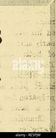. Cranberries; : la nazionale rivista di mirtillo palustre. Mirtilli rossi. Â .dw^^,; Marcus M. Urann Canadian Ocean Spray Presidente Marcus M. Urann (mirtilli, sett, 1958) è stato eletto presi- dent di Ocean Spray di Can- ada, Ltd. ad una amministrazione' soddisfare- ing detenute, 22 gennaio in Hanson, Massachusetts. T^egli Canadian com- pany è una controllata di Ocean Spray Cranberries, Inc. La pro- cesso impianto del canadese come- sociation si trova in St Johns, provincia del Québec. Il sig. Urann è anche Presidente del Regno di Cape Cod, società oggi il secondo più grande produttore di mirtillo palustre e un membro di Ocean Spray. Regno di cr Foto Stock