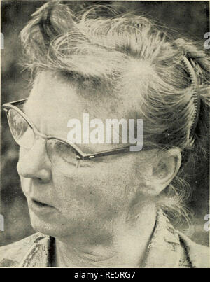 . Cranberries; : la nazionale rivista di mirtillo palustre. Cranberries. Hai trascinato in general contracting nei locali di un boom edilizio. La mia terra sul piccolo uovo baia del porto divenne desiderabile come una riva di sviluppo, così ho fondato Deerfield Park e presto schizzato in sviluppo immobiliare. Una delle caratteristiche che mi hanno mostrato spesso a prospettive era un vecchio malandato mirtillo palustre bog a cavallo del fiume Bass risalente al secolo scorso. Ogni volta che mi ha dimostrato che ero perplesso per client di indif- ference, ma mi è stato disegnato e più semplice per tornare ora e poi con mia moglie per un paio di ore di quiete, lontano fro Foto Stock