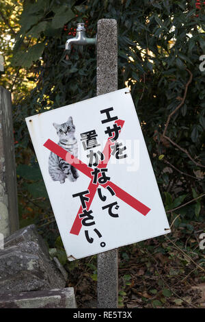Kumamoto, Giappone - 13 Novembre 2018: firmare nessun gatti ammessi inil tempio motivi dell'Honmyo-ji Foto Stock