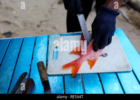 Pescatore Giapponese prepara il pesce appena pescato per la cena con un coltello sulla spiaggia tropicale, Iriomote, Giappone Foto Stock