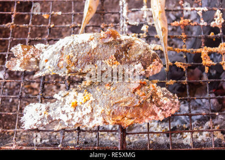 In crosta di sale grigliate di Nile Tilapia pesce alla griglia su stufa a carbone Foto Stock