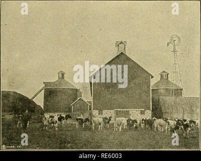 . La latteria patrono libretto di istruzioni del veicolo. La produzione di latte. La costruzione di silos e rendendo il foraggio insilato. 193 molto tempo e le spese saranno salvati se il tetto non è messo su fino a quando il silo è riempito per la prima volta. Questo permette di ovviare alla necessità di costruire un alto e costoso allestimento, per il silaggio può essere utilizzato per questo scopo- tetto può essere fatta di schede madri. Un tetto scheda Risposte ogni scopo, i costi ma un paio di dollari e può essere messo su in un tempo molto breve. Una coppia di cerniere di cinghia può essere fissata a due o tre delle commissioni, che farà un economico e conveniente anta per prendere nel tagliare il granoturco. Non vi è nulla di b Foto Stock