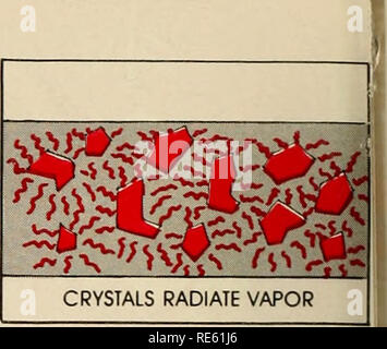 . Cranberries; : la nazionale rivista di mirtillo palustre. Cranberries. Un"M*it' CRISTALLI INSERIRE IL TERRENO. 1. Norosac è 2,6-dichlorobenzonitrile, comunemente noto come Dichlobenil. Questo unico erbicida passa direttamente a una fase vapore senza passare attraverso la fase liquida. Esso viene attivato dalla temperatura e umidità del suolo. 2. Questo notevole composto erbicida del rasoio-cristalli sottili è univocamente elaborati dalla PBI/Gordon per effettuare un preciso granulo. 3. I granuli vengono sparsi sul terreno o in acqua poco profonda. Umidità porta i cristalli Norosac nello strato superiore del suolo. A causa dell' assorbimento da parte delle particelle di sporco movem laterale Foto Stock