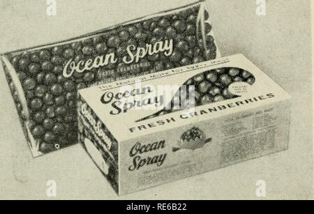 . Cranberries; : la nazionale rivista di mirtillo palustre. Mirtilli rossi. Per l'industria di mirtillo palustre: Saluti ed auguri! Questo anno il periodo dal 30 settembre al 8 ottobre saranno proclamati come Cranberry Harvest Settimana e osservato come tali in tutti il mirtillo palustre-crescente membri di tutta la nazione. Questo rispetto è particolarmente opportuna in questa stagione come industria è ora impegnata nella raccolta e commercializzazione di un altro grande raccolto di mirtillo palustre. Il futuro è invitante. Se dimostriamo nei mesi a venire il permanere di qualità che hanno sus- tained noi nei mesi passati, la ricca la promessa del domani sarà Foto Stock