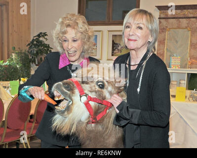 Iffeldorf, Germania. Xx gen, 2019. Il cantante svedese Bibi Johns (l) e l'attrice, regista e congratulator Heidelinde Weis alimentazione del pony Chicko presso la reception del compleanno di Bibi Johns a Gut Aiderbichl. Il cantante pop celebra il suo novantesimo compleanno il 21.01.2019 e aveva amici invitati alla reception. Credito: Ursula Düren/dpa/Alamy Live News Foto Stock