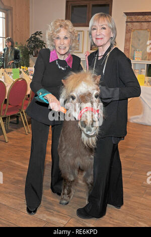 Iffeldorf, Germania. Xx gen, 2019. Il cantante svedese Bibi Johns (l) e l'attrice, regista e congratulator Heidelinde Weis alimentazione del pony Chicko presso la reception del compleanno di Bibi Johns a Gut Aiderbichl. Il cantante pop celebra il suo novantesimo compleanno il 21.01.2019 e aveva amici invitati alla reception. Credito: Ursula Düren/dpa/Alamy Live News Foto Stock