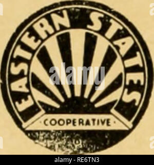 . Cranberries; : la nazionale rivista di mirtillo palustre. Cranberries. ricevuto dagli olivicoltori, marketing oflpi- cials, e gli ospiti. I commenti sono stati favorevoli e ha sottolineato il fatto che il programma ha permesso un ampio margine di tempo per fare il giro del membro Bog, ispezionare presenta e attrezzature, visita con i coltivatori e sentire un pro- grammi dedicato interamente alla cranber- ries. Un resoconto dettagliato delle attività della giornata sarà trovato in questo problema di mirtilli Maga- zine preparato dall'editore, il sig. Hall. N. J. estate riunisce 28 agosto Estate incontro di mirtillo americano Groweis' Associazione è programmata per Thuisday, 28 agosto a Citta Foto Stock