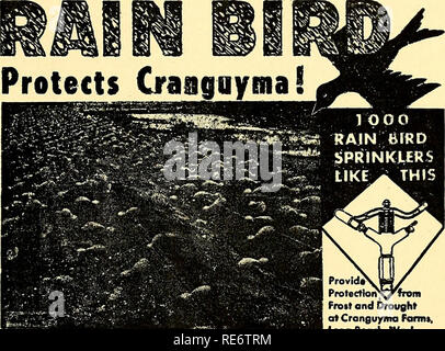 . Cranberries; : la nazionale rivista di mirtillo palustre. Cranberries. kee. Ci siamo fermati per una breve visita presso il Centro indiano del Wisconsin Dells. Dalle ore 1 siamo stati tutti godendo dell'ospitalità del Sig. e della sig.ra Guy Potter a pranzo, dopo di che il nostro tour iniziato. Il nostro primo marsh era quella di proprietà di Jean Nash e fratello, il Biron Marsh. Siamo rimasti stupiti della grande lunga "letti" con fossati e alte dighe e anche il verde- ness dei vitigni. Oregon torbiere sono tutti in piccoli "buche" con margini irregolari... utilizziamo sopra la testa degli sprinkler e non hanno bisogno di grandi laghi di storage o di fiume Foto Stock