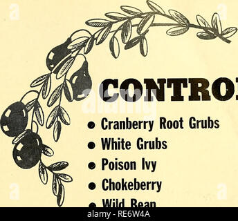 . Cranberries; : la nazionale rivista di mirtillo palustre. Mirtilli rossi. 1866. Esso recita come segue: Avviso Cranberry Growers' Convenzione tutte le persone interessate alla coltivazione di mirtilli rossi sono invitati a riunirsi presso l'ex- modifica Hall di Harwich giovedì il quindicesimo giorno di febbraio- ruary prima a 1 ore a con- sider il miglior metodo di coltivazione, e ad altre questioni relative tto la sub- ject come può venire prima della riunione. Esso è firmato da Ze- bina H. piccole, Obed Brooks, Ciro Gaboon e Nathaniel Robbins. Quelli erano tutti gli uomini che sono stati rilevanti in poi un neonato in- dustry. Zebina piccolo, una strana ch Foto Stock