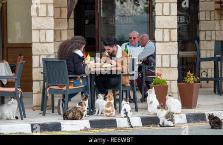 Un gruppo di gatti aspetta per scarti di cibo fuori di un ristorante e pub nel villaggio di Mandria, Cipro. Foto Stock