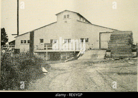 . Cranberries; : la nazionale rivista di mirtillo palustre. Mirtilli rossi. Credo inscatolatori di mirtillo palustre di ispirazione alle future Establ'shment del Cannery in Coquille e la costruzione di Urann Cape Blanco tirante di proprietà nella regione con il resto dell'industria, un potente impulso di mirtillo palustre di sviluppo in questa regione è stato l'avvento del mirtillo palustre conservieri per la West Coast, lo stabilire- mento di una cannery in Coquille nel 1942, e la selezione di Cape Blanco (a sud di Bandon) come posizione per i 100 acri bog del Cape Blanco Cranberry azienda in cui Marcus L. e Carl B. Urann, Miss Ellen Stillman e J. A. St Foto Stock