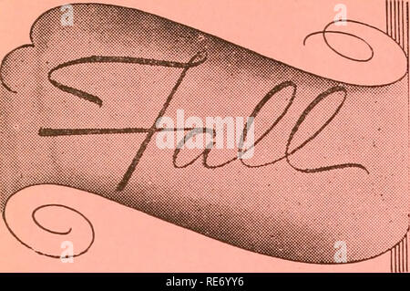 . Cranberries; : la nazionale rivista di mirtillo palustre. Mirtilli rossi. È qui ed è tempo di prelievo avete bisogno di scoop o "scatta" LI ABBIAMO ABBIAMO GOMMATO CARRETTI PER OTTENERE IL TUO BACCHE OFF il BOG anche casella presse e quando un po' più tardi di iniziare la tua caduta del lavoro potremo avere di che cosa avete bisogno e naturalmente la casella premere Bailey brevettata di mirtillo palustre e separatore classificatore (riconosciuto da coltivatori di mirtillo palustre come il più altamente efficiente e pratico ed economico la macchina nel suo genere sul mercato) TEL. CARVER 28-2 H.R. BAILEY CO. A sud il CARVER MASSACHUSETTS stabilito 1895. Si prega di notare che queste immagini Foto Stock