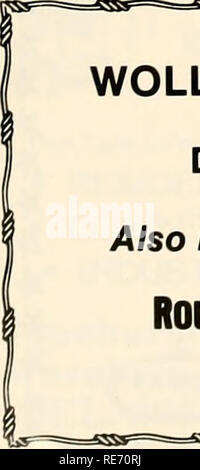 . Cranberries; : la nazionale rivista di mirtillo palustre. Mirtilli rossi. )Ssssssssssssssssssssssssssssssssssssssssssssssssssssssssg cos'è un nome? Si Ocean Spray e i coltivatori di passito di essere in grado di arrivare a un accordo su uso della parola Craism o si disputa il vento fino in tribunale? Se quest'ultima avviene, è sicuro di dire che il risultato non poteva essere previsto con certezza. Questo scrittore conosce un paio di ragazzi che hanno aperto un negozio di video noleggio e denominato it Video Shack. Un anno più tardi, hanno ricevuto una lettera da un avvocato che rappresenta Radio Shack. La parola shack, la lettera letta, non può essere utilizzato. Th Foto Stock