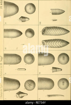 . Céphalopodes. Études générales. Extraits du Système silurien du centre de la Bohême. Vol. II, texte v. Cap. XVII-XIX ... Cefalopodi, fossile; Paleontologia; Paleontologia. . Si prega di notare che queste immagini vengono estratte dalla pagina sottoposta a scansione di immagini che possono essere state migliorate digitalmente per la leggibilità - Colorazione e aspetto di queste illustrazioni potrebbero non perfettamente assomigliano al lavoro originale. Barrande, Joachim, 1799-1883. Praga, Parigi, l'auteur Foto Stock