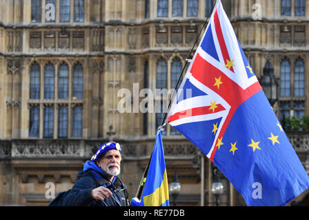 Un Anti Brexit Protestor al di fuori della sede del parlamento di Londra, Regno Unito. Il 17 gennaio 2019. Foto Stock