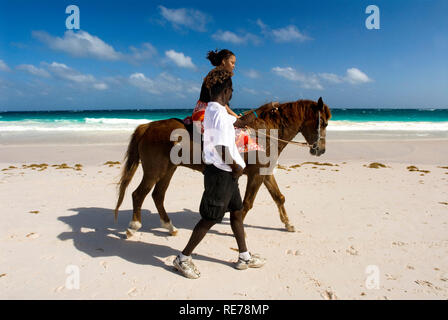 Passeggiate a cavallo a sabbia Rosa Beach. Dunmore Town, Harbour Island, Eleuthera. Bahamas Foto Stock